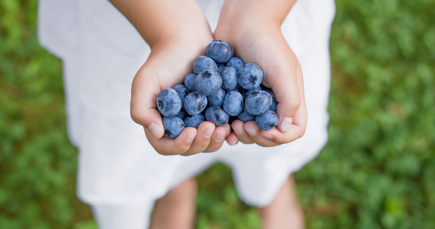 ALIMENTOS