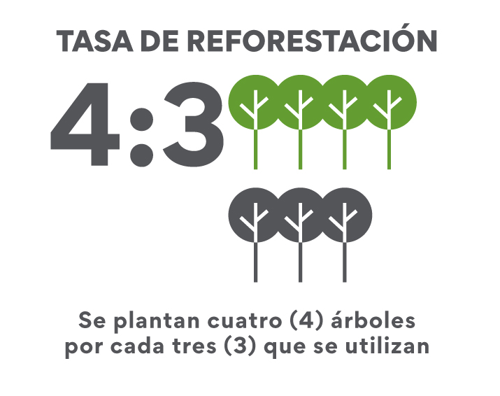 EL PROCESO